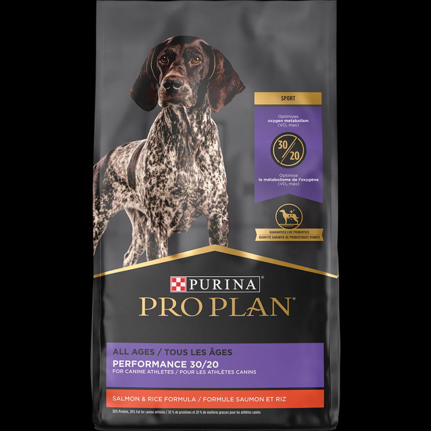 Picture of: Pro Plan Sport Performance / Salmon & Rice Dog Food  Purina