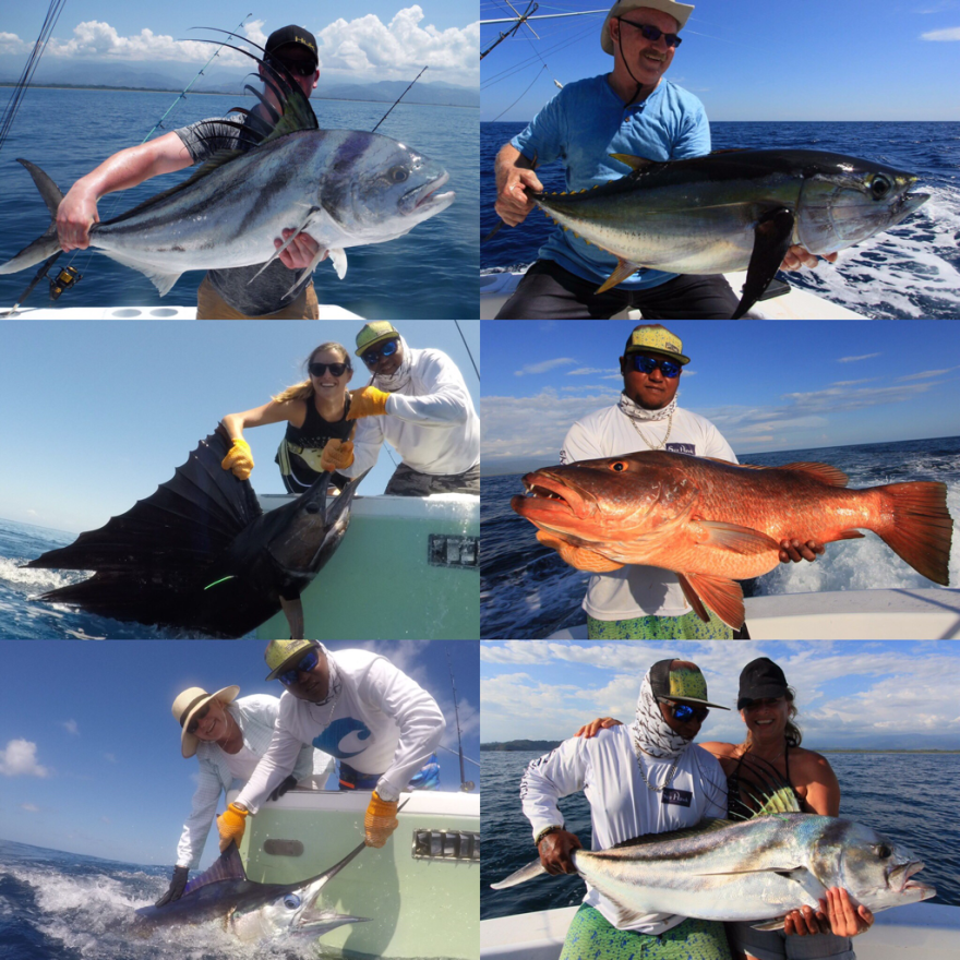 Picture of: sportfishing in costa rica – Sport Fishing in Quepos Costa Rica